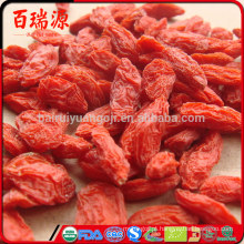 Proteína de bagas de Goji onde comprar goji berries goji berry antioxidante